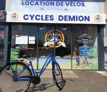 cycles demion